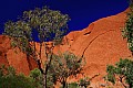 Uluru-0006