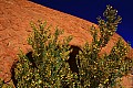 Uluru-0009