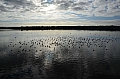 034 Yanchep NP