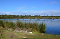036 Yanchep NP