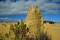 045 Pinnacles desert