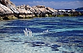 056 Rottnest island