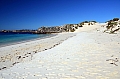 064 Rottnest island