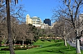 223 Adelaide