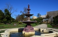 231 Adelaide