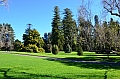 234 Adelaide