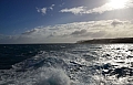 268 Kangaroo island