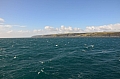 269 Kangaroo island