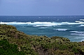 273 Kangaroo island