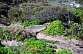 275 Kangaroo island