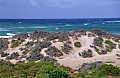 276 Kangaroo island
