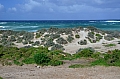 277 Kangaroo island