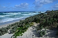 281 Kangaroo island
