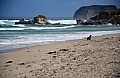 284 Kangaroo island