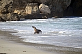 289 Kangaroo island