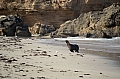 291 Kangaroo island