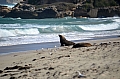 294 Kangaroo island