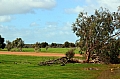 301 Kangaroo island