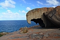 305 Kangaroo island