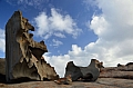 307 Kangaroo island