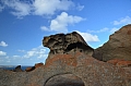 309 Kangaroo island
