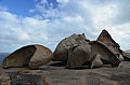 310 Kangaroo island