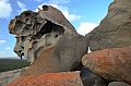 311 Kangaroo island
