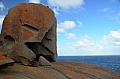 313 Kangaroo island