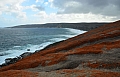 314 Kangaroo island