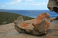 315 Kangaroo island