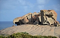 321 Kangaroo island