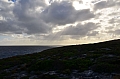 322 Kangaroo island