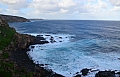 323 Kangaroo island