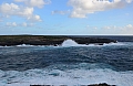 326 Kangaroo island