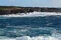 339 Kangaroo island