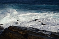 340 Kangaroo island