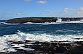 341 Kangaroo island