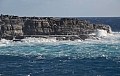 343 Kangaroo island
