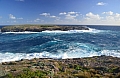 344 Kangaroo island