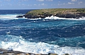 346 Kangaroo island