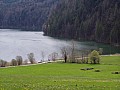 Baviera-0007