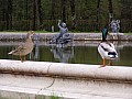 Herrenchiemsee-0005