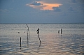 115 Caye Caulker