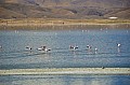 074 Verso Uyuni