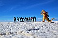 104 Salar de Uyuni