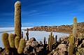 114 Isla Incahuasi
