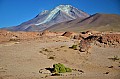 139 Chiguana desert