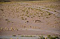 140 Chiguana desert