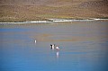 142 Andean Lagoons