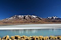 143 Andean Lagoons
